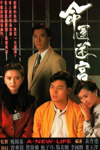 Vận Mệnh Mê Cung